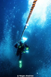 Jim Tarro, my dive buddy doing his deco stop on the line.... by Margery Bradshaw 